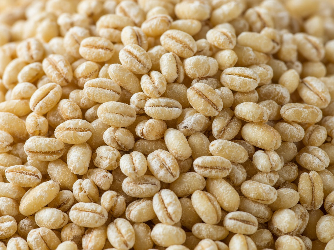 Barley