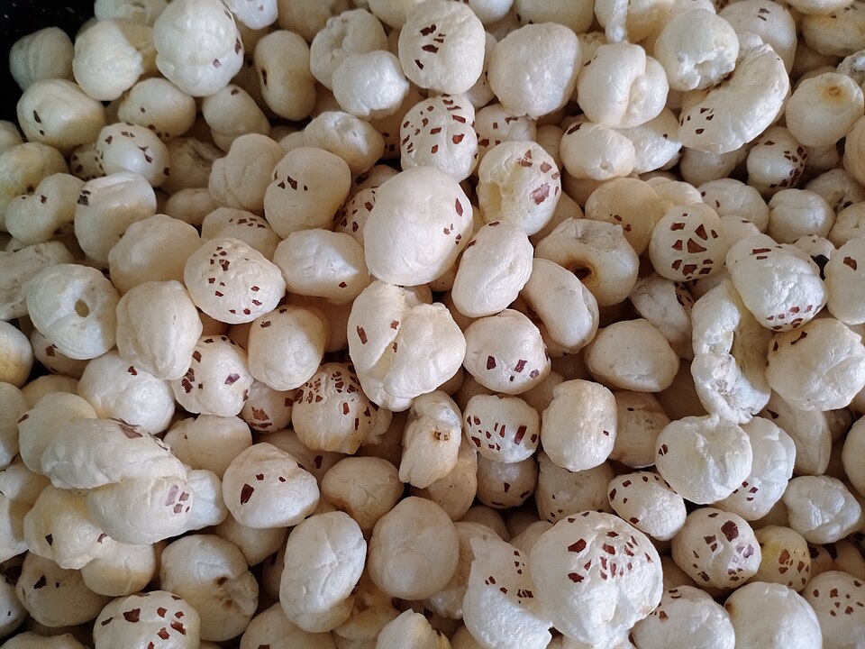 Fox nuts